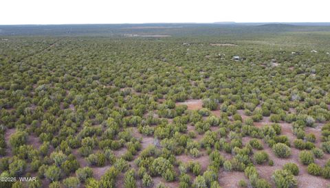 Tiny photo for 26D Ranch Rd Rd, Show Low, AZ 85901 (MLS # 260703)