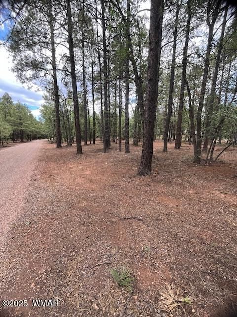 Tiny photo for 5480 Apache Trail, Pinetop, AZ 85935 (MLS # 256771)
