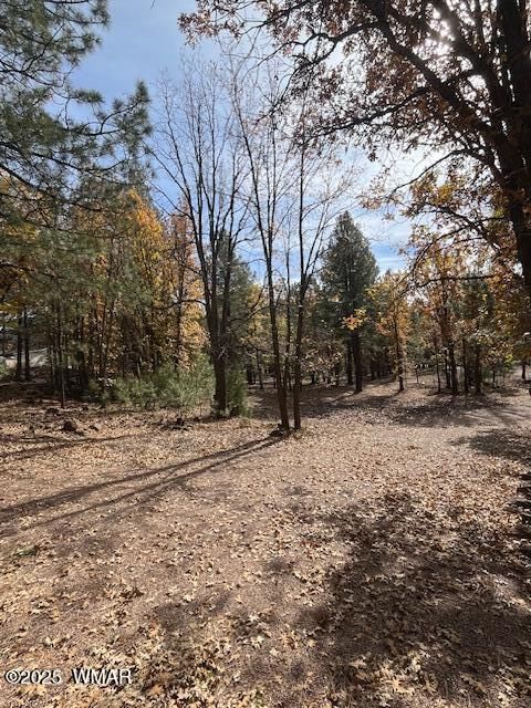 Tiny photo for 5480 Apache Trail, Pinetop, AZ 85935 (MLS # 256771)