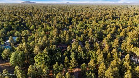 Tiny photo for 5480 Apache Trail, Pinetop, AZ 85935 (MLS # 256771)