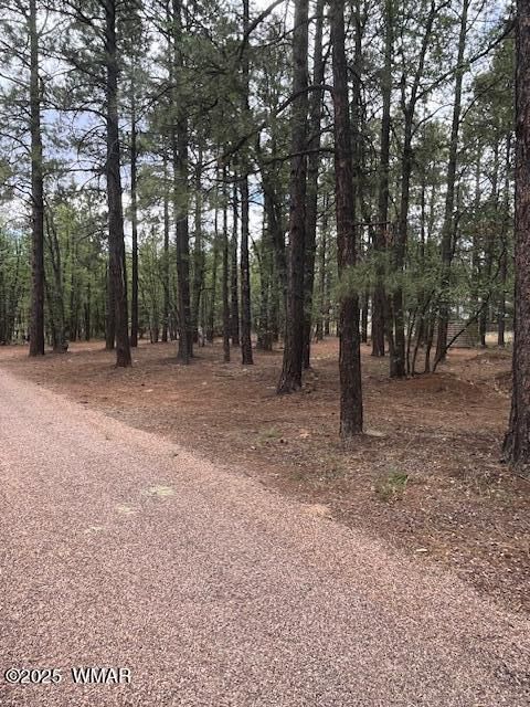 Photo of 5480 Apache Trail, Pinetop, AZ 85935 (MLS # 256771)