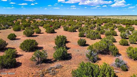 Photo of 8730 Coronado Drive, Show Low, AZ 85901 (MLS # 257006)