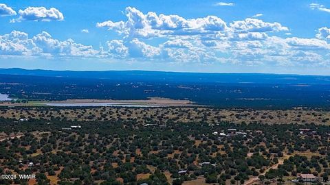Tiny photo for 8730 Coronado Drive, Show Low, AZ 85901 (MLS # 257006)