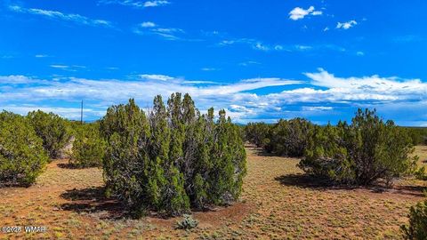 Tiny photo for 8730 Coronado Drive, Show Low, AZ 85901 (MLS # 257006)