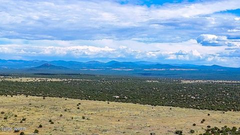 Tiny photo for 8730 Coronado Drive, Show Low, AZ 85901 (MLS # 257006)