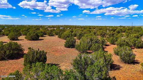 Tiny photo for 8730 Coronado Drive, Show Low, AZ 85901 (MLS # 257006)