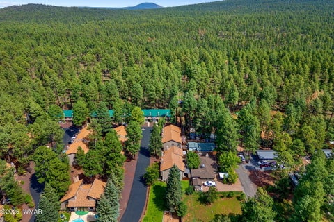 Tiny photo for 1460 S Adair Drive #17, Pinetop, AZ 85935 (MLS # 262934)