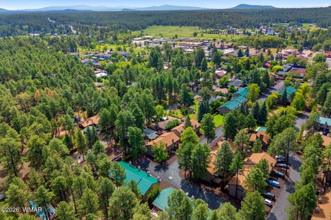 Tiny photo for 1460 S Adair Drive #17, Pinetop, AZ 85935 (MLS # 262934)