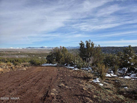 Tiny photo for 10 Co Road, Vernon, AZ 85940 (MLS # 259311)