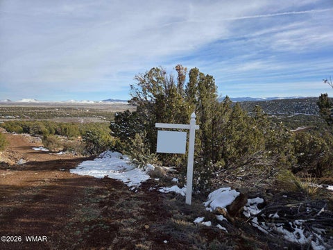 Tiny photo for 10 Co Road, Vernon, AZ 85940 (MLS # 259311)