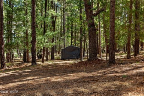 Tiny photo for 2 County Road 2081, Alpine, AZ 85920 (MLS # 258013)
