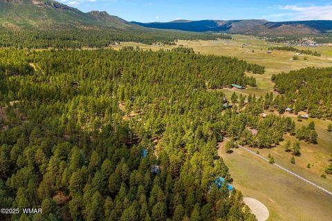 Tiny photo for 2 County Road 2081, Alpine, AZ 85920 (MLS # 258013)