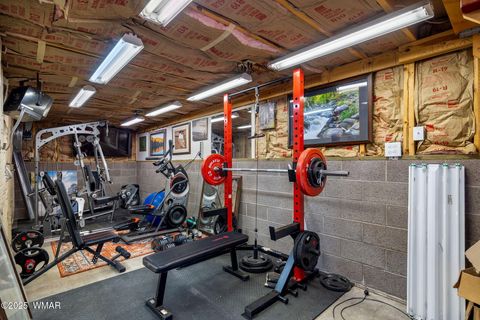 Tiny photo for 2 County Road 2081, Alpine, AZ 85920 (MLS # 258013)