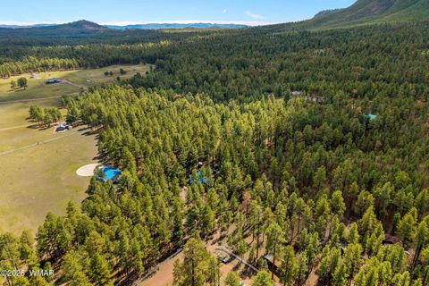 Tiny photo for 2 County Road 2081, Alpine, AZ 85920 (MLS # 258013)