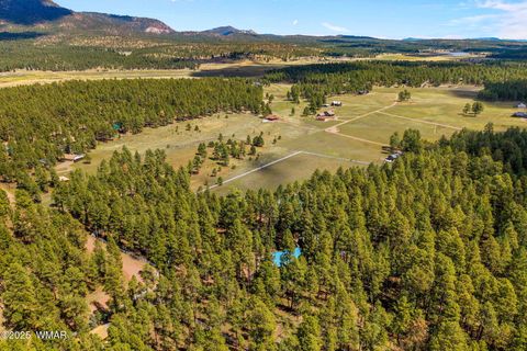 Tiny photo for 2 County Road 2081, Alpine, AZ 85920 (MLS # 258013)