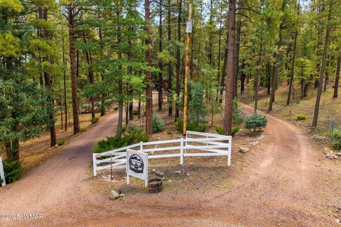 Tiny photo for 2 County Road 2081, Alpine, AZ 85920 (MLS # 258013)