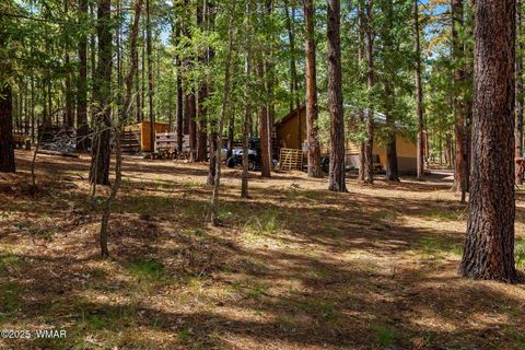 Tiny photo for 2 County Road 2081, Alpine, AZ 85920 (MLS # 258013)