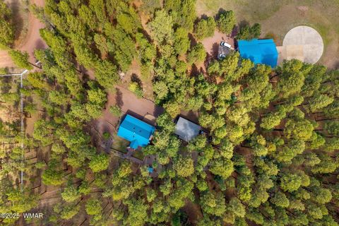 Tiny photo for 2 County Road 2081, Alpine, AZ 85920 (MLS # 258013)