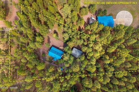 Tiny photo for 2 County Road 2081, Alpine, AZ 85920 (MLS # 258013)