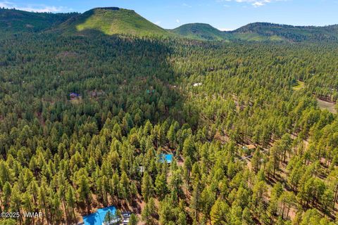 Tiny photo for 2 County Road 2081, Alpine, AZ 85920 (MLS # 258013)