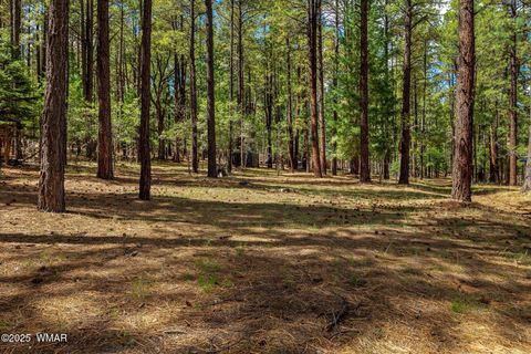 Tiny photo for 2 County Road 2081, Alpine, AZ 85920 (MLS # 258013)