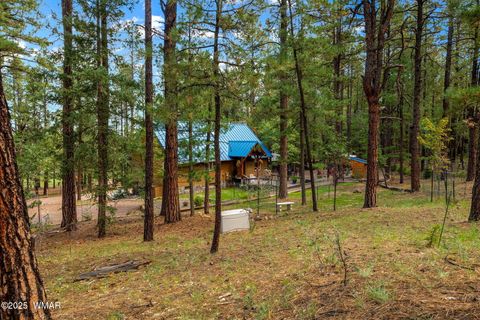 Tiny photo for 2 County Road 2081, Alpine, AZ 85920 (MLS # 258013)