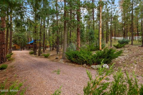 Tiny photo for 2 County Road 2081, Alpine, AZ 85920 (MLS # 258013)