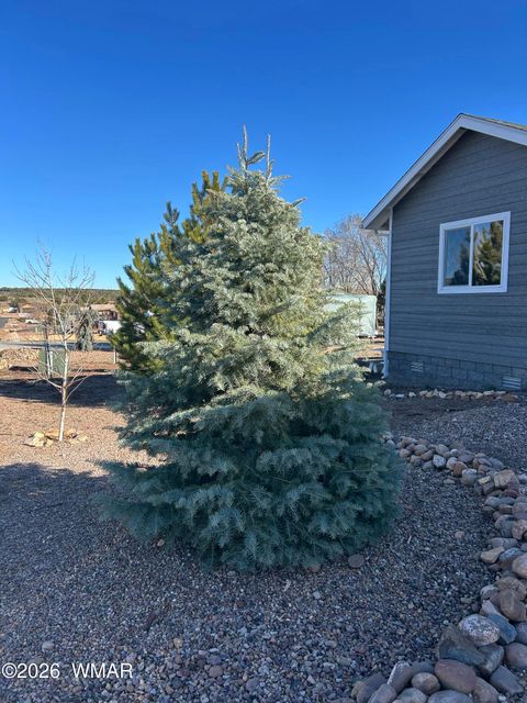 Tiny photo for 7025 Dusty Saddle Trail, Show Low, AZ 85901 (MLS # 259692)