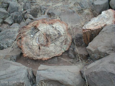 Tiny photo for LOT 13 N8526, Concho, AZ 85924 (MLS # 259228)