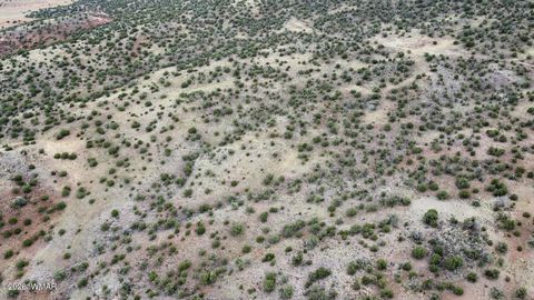 Tiny photo for LOT 13 N8526, Concho, AZ 85924 (MLS # 259228)