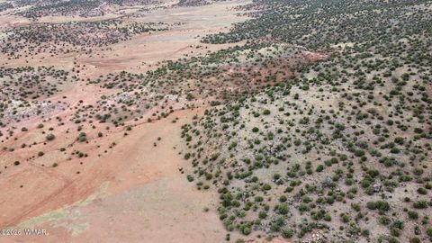 Tiny photo for LOT 13 N8526, Concho, AZ 85924 (MLS # 259228)