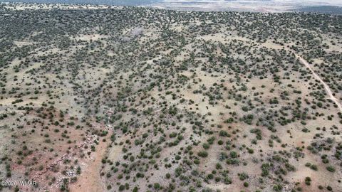 Tiny photo for LOT 13 N8526, Concho, AZ 85924 (MLS # 259228)