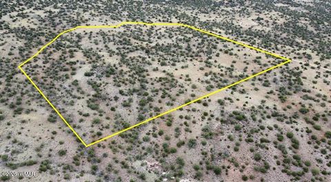 Tiny photo for LOT 13 N8526, Concho, AZ 85924 (MLS # 259228)