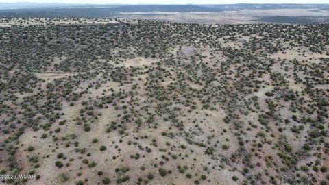 Tiny photo for LOT 13 N8526, Concho, AZ 85924 (MLS # 259228)