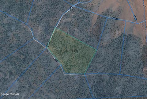 Tiny photo for LOT 13 N8526, Concho, AZ 85924 (MLS # 259228)