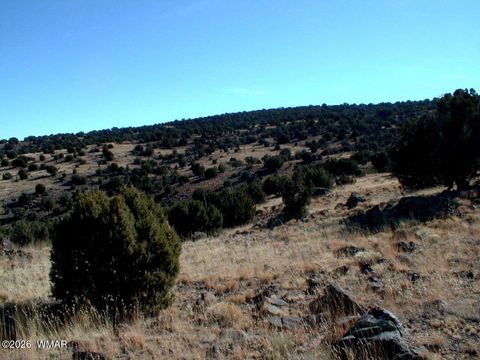 Tiny photo for LOT 13 N8526, Concho, AZ 85924 (MLS # 259228)