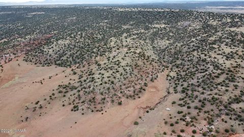 Tiny photo for LOT 13 N8526, Concho, AZ 85924 (MLS # 259228)