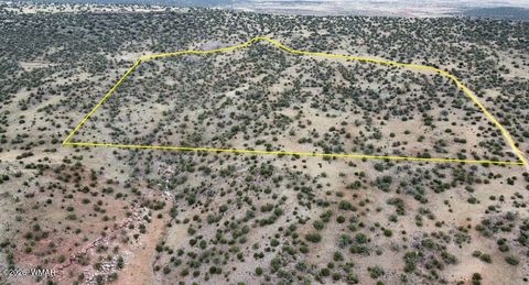 Tiny photo for LOT 13 N8526, Concho, AZ 85924 (MLS # 259228)
