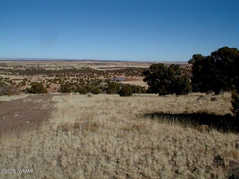 Tiny photo for LOT 13 N8526, Concho, AZ 85924 (MLS # 259228)