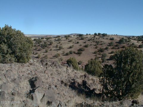 Tiny photo for LOT 13 N8526, Concho, AZ 85924 (MLS # 259228)