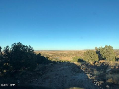 Tiny photo for LOT 13 N8526, Concho, AZ 85924 (MLS # 259228)