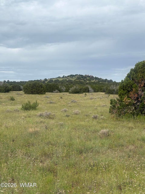 Tiny photo for 33 N3110, Vernon, AZ 85940 (MLS # 263348)