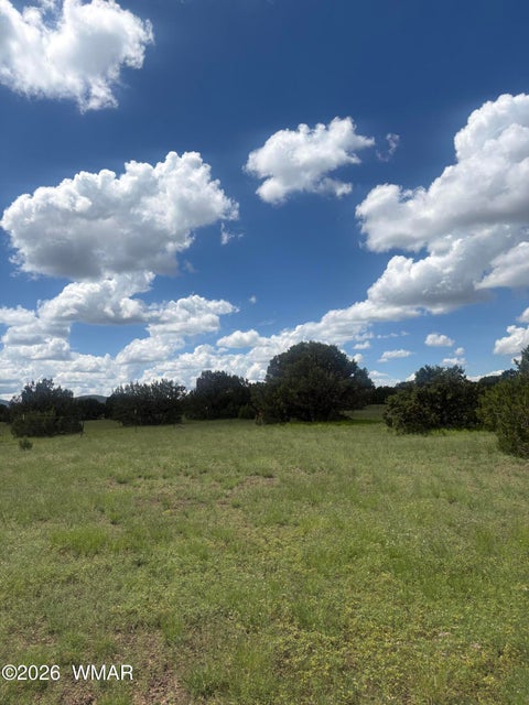 Photo of 33 N3110, Vernon, AZ 85940 (MLS # 263348)