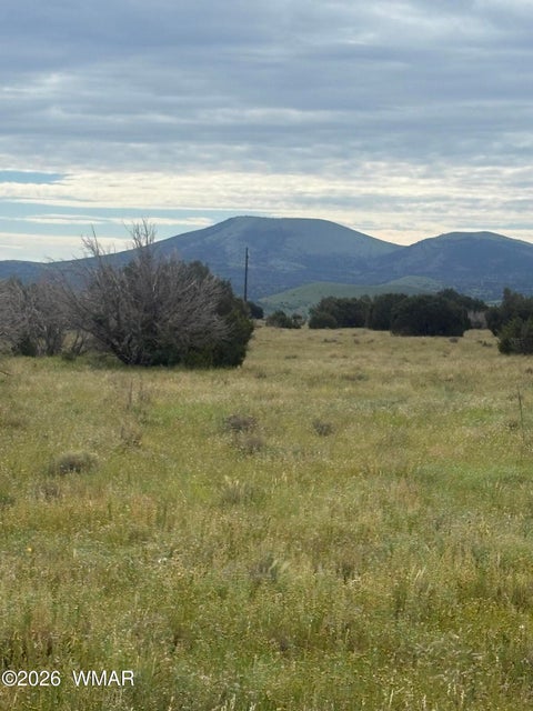 Tiny photo for 33 N3110, Vernon, AZ 85940 (MLS # 263348)