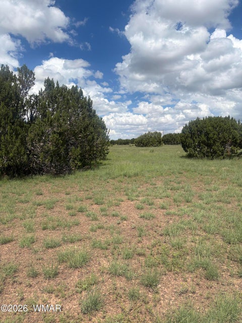 Tiny photo for 33 N3110, Vernon, AZ 85940 (MLS # 263348)