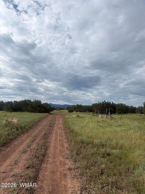 Tiny photo for 33 N3110, Vernon, AZ 85940 (MLS # 263348)