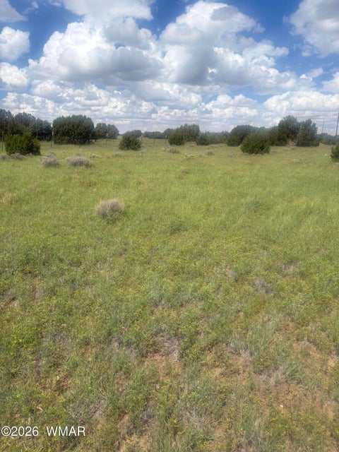 Tiny photo for 33 N3110, Vernon, AZ 85940 (MLS # 263348)