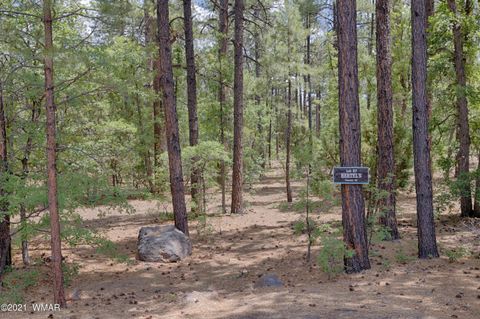 Tiny photo for 57 E Vista Lane, Pinetop, AZ 85935 (MLS # 236247)