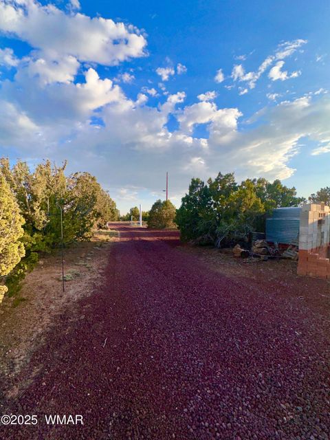 Tiny photo for 47 County Road 8306, Concho, AZ 85924 (MLS # 256498)