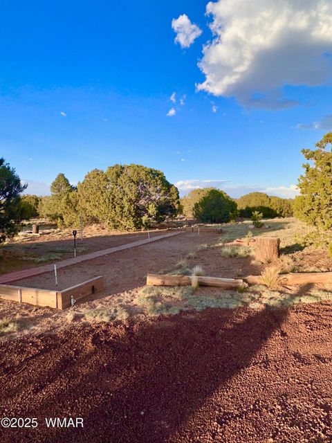 Tiny photo for 47 County Road 8306, Concho, AZ 85924 (MLS # 256498)